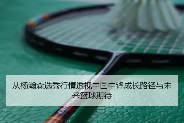 cong-yang-han-sen-xuan-xiu-hang-qing-tou-shi-zhong-guo-zhong-feng-cheng-zhang-lu-jing-yu-wei-lai-lan-qiu-qi-dai-2-531.jpg