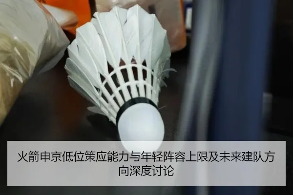 火箭申京低位策应能力与年轻阵容上限及未来建队方向深度讨论