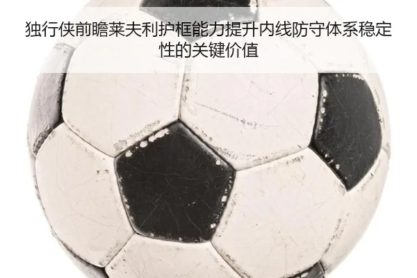 独行侠前瞻莱夫利护框能力提升内线防守体系稳定性的关键价值